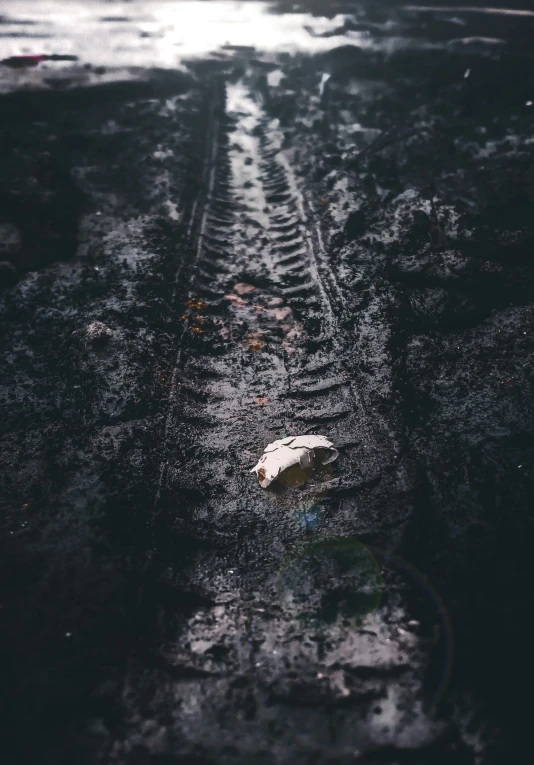 a wet tire track sitting on top of a road