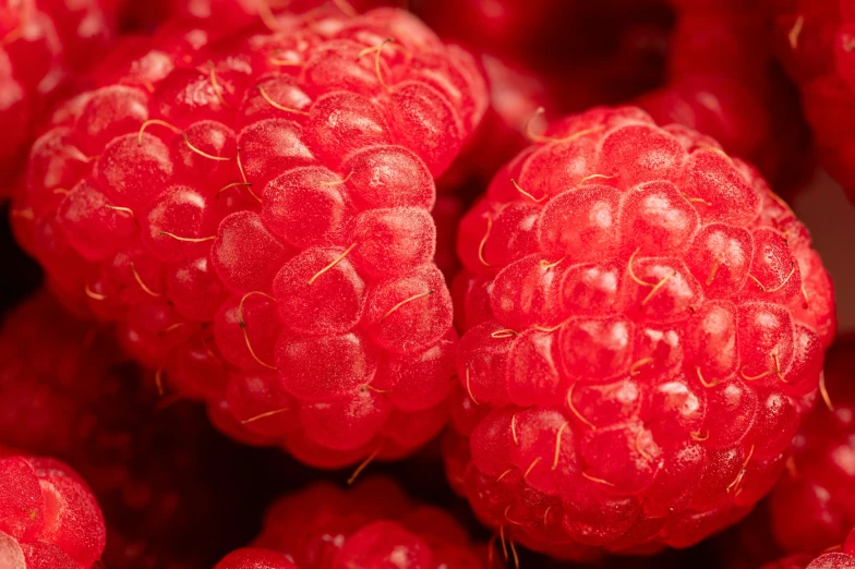 several red raspberries are shown together