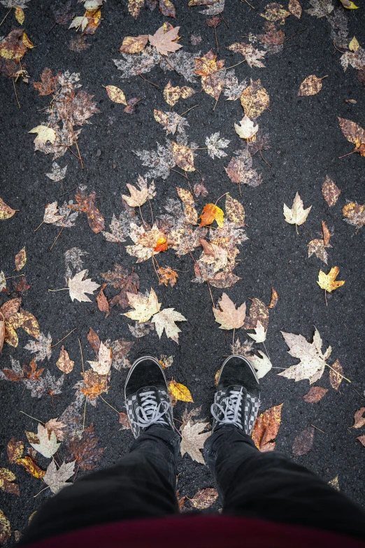someone wearing white shoes and black and grey clothing stands on a carpet with leaves