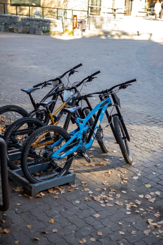 a bunch of bicycles are in the street