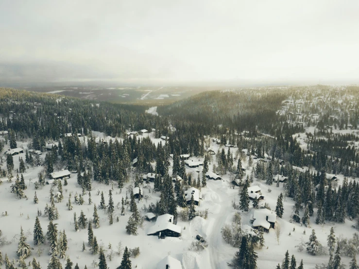 a large wooded area covered in snow next to trees