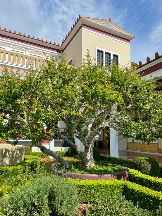 an ornamental garden and large building in a sunny day