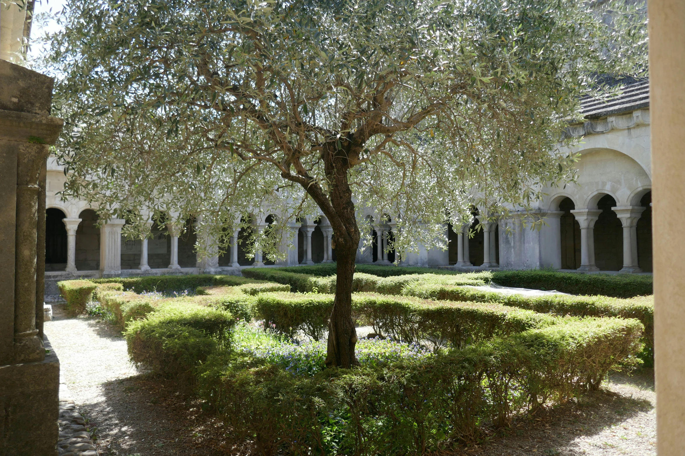 the view of an outdoor courtyard through a tree