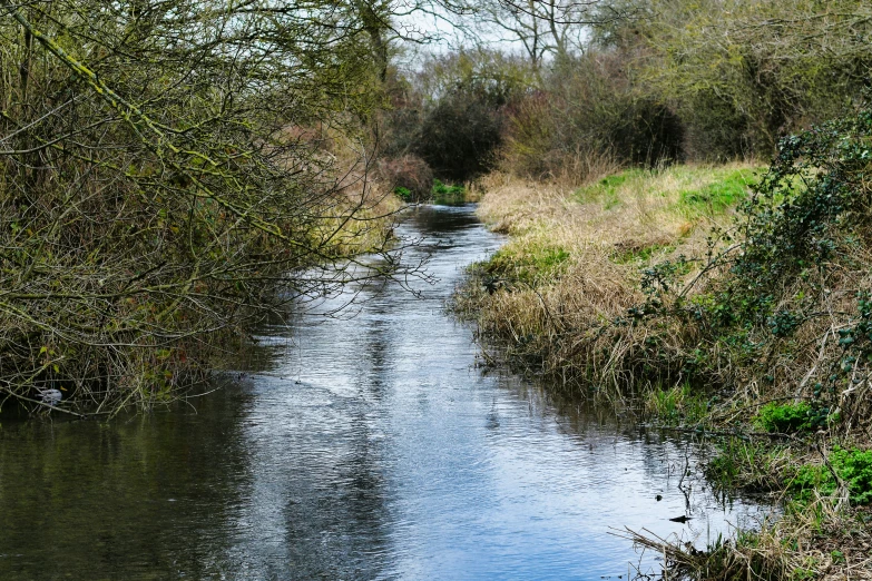 a small stream runs alongside a field in the middle of autumn