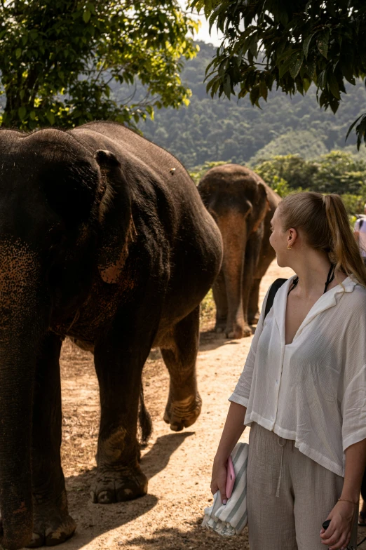 a woman looking at a group of elephants