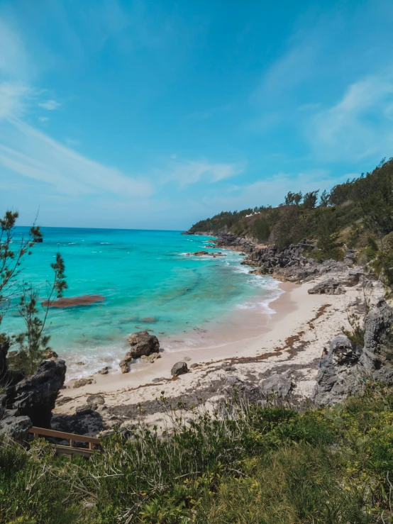 a sandy beach surrounded by trees and blue water