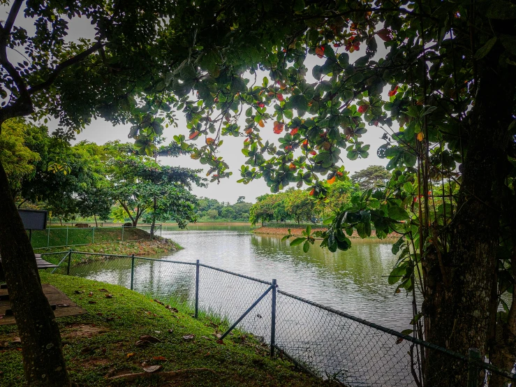 there are no people sitting on the bank of this lake