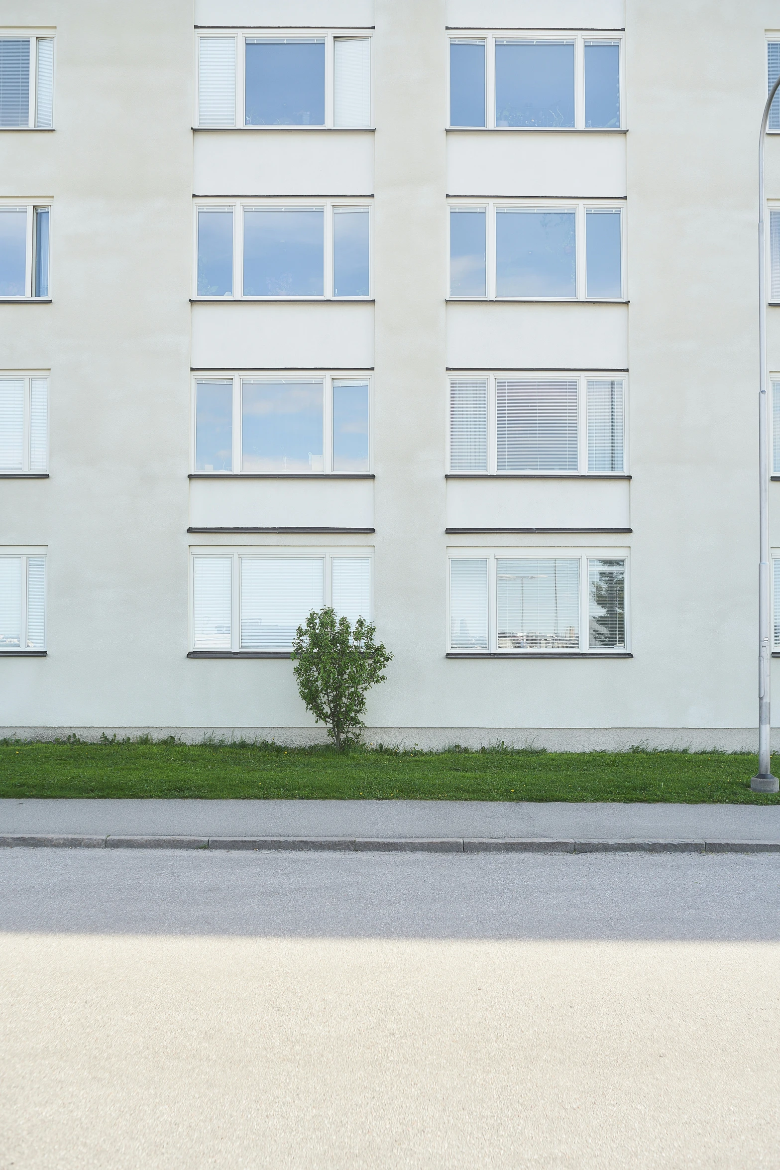 a green plant on the side of a street