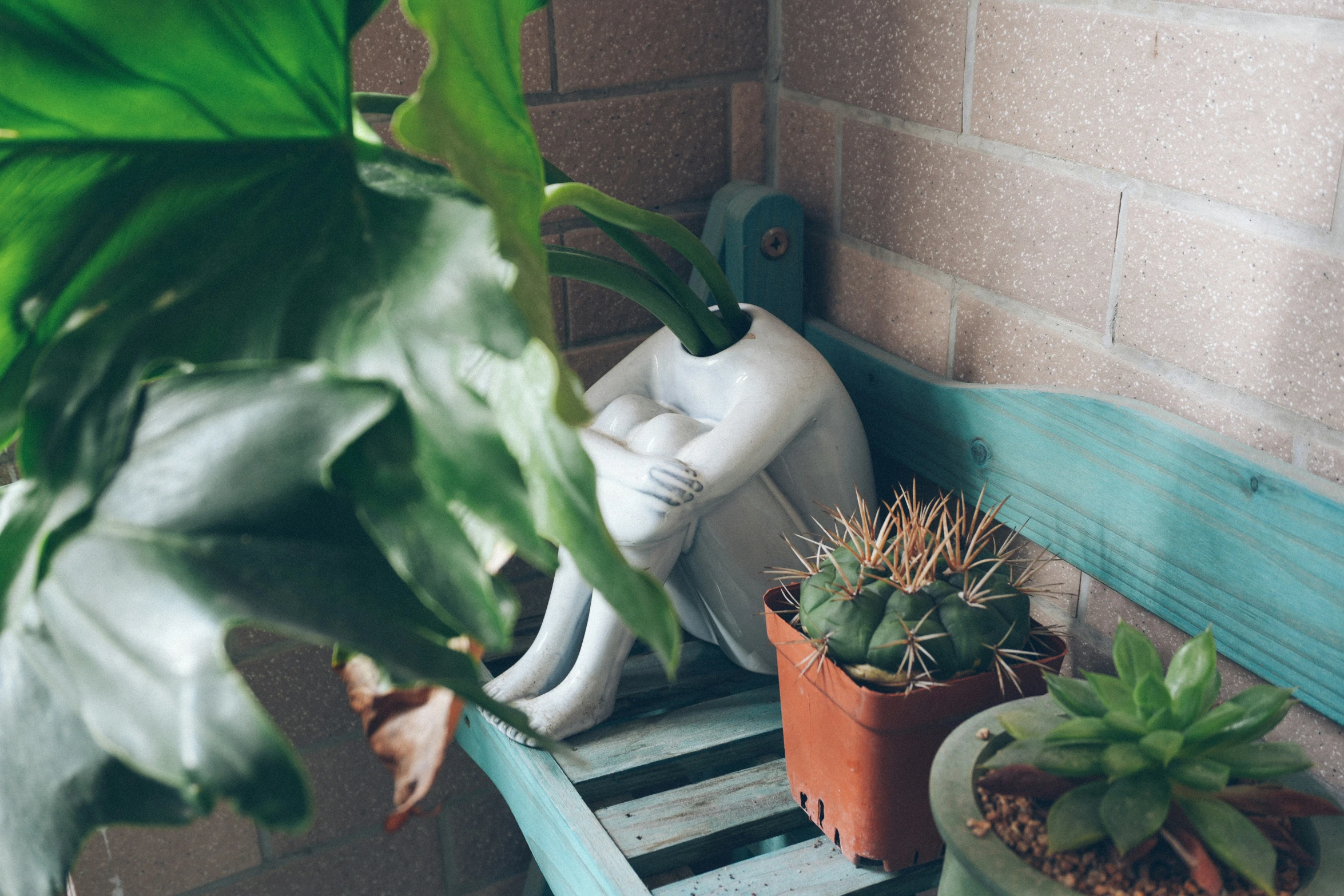 a few potted plants sitting next to each other on a bench