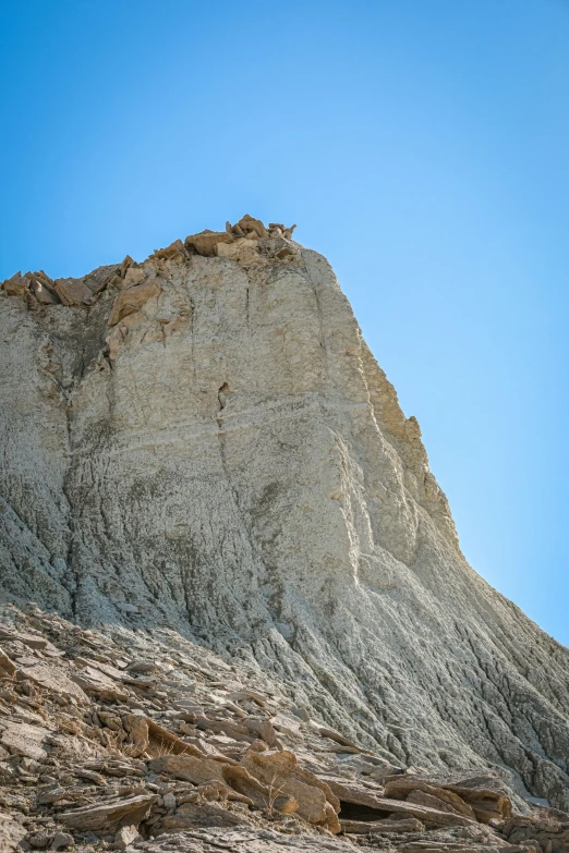 an elephant looking up at the top of a mountain