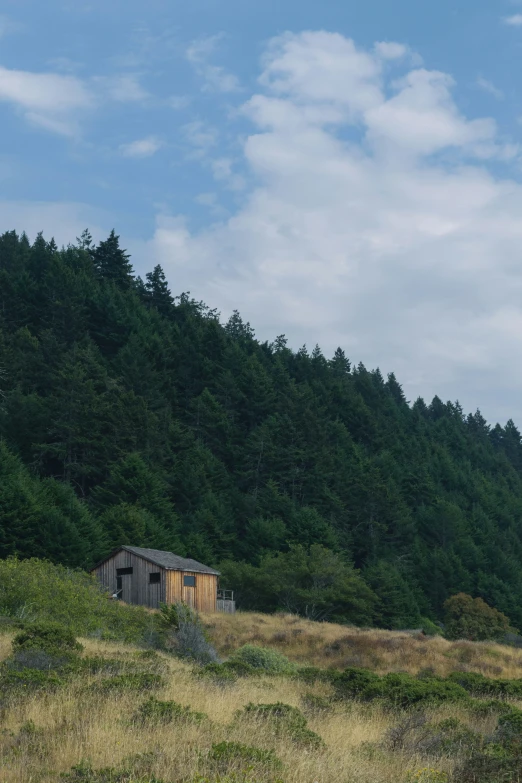 a small building with a sky background near grass and trees