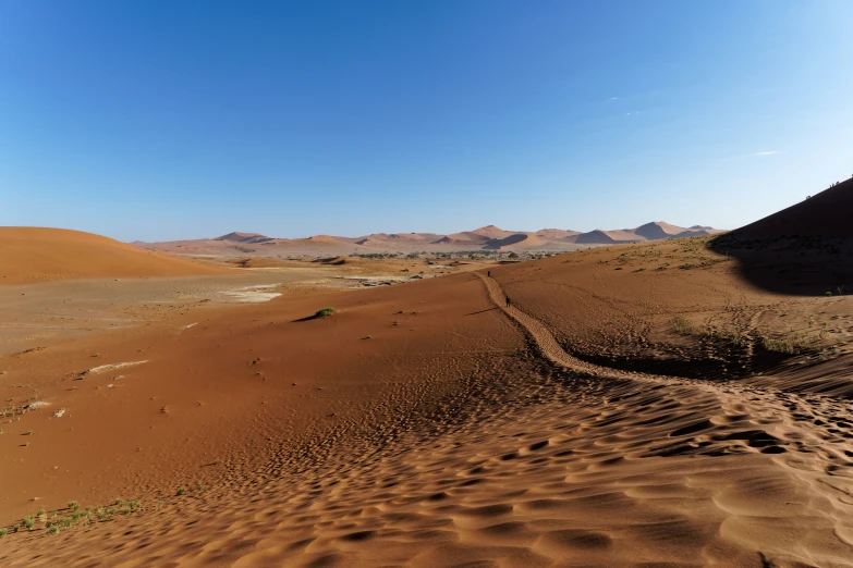 the desert has some very pretty deserts in it