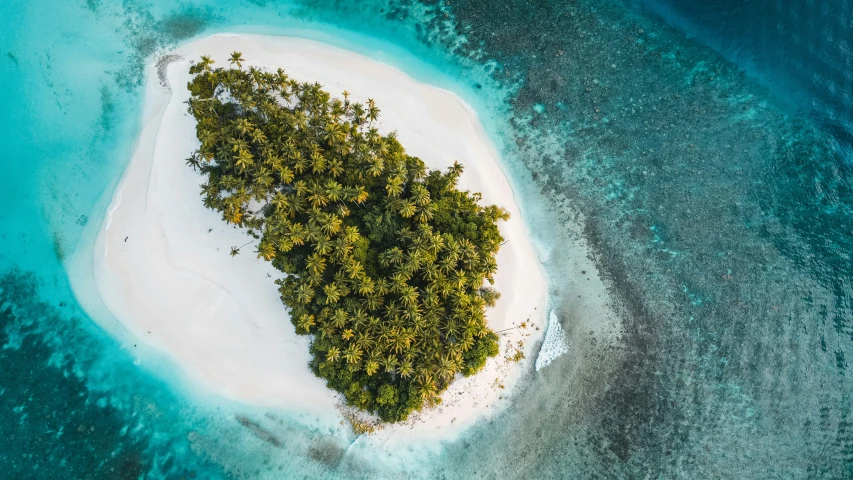 an island shaped by trees in the ocean