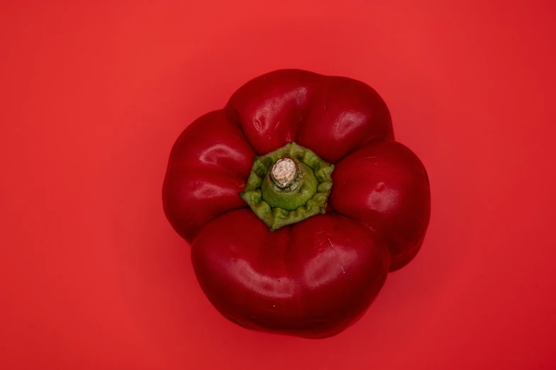 a green pea on a red background