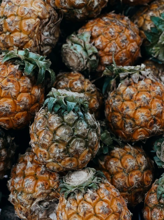 a bunch of fruit that is very close to the ground