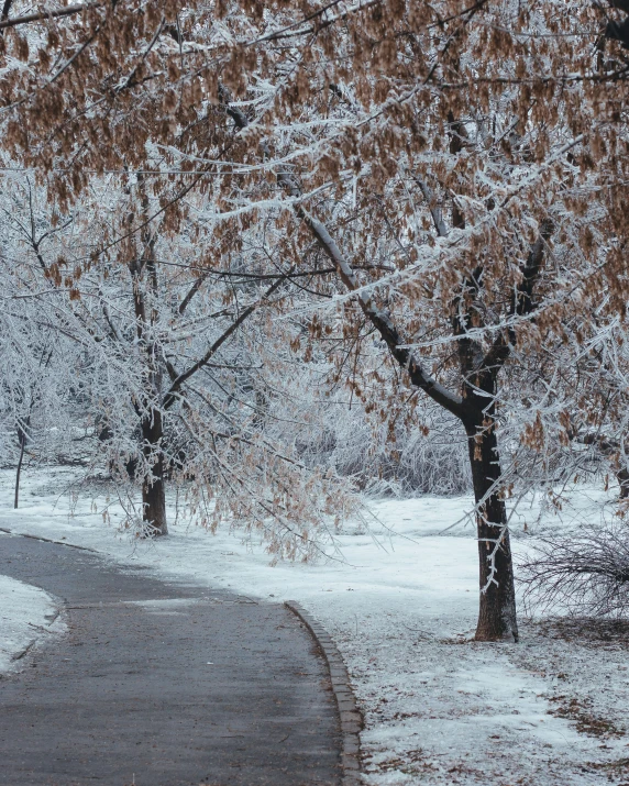 a lone woman walking down the sidewalk in snow