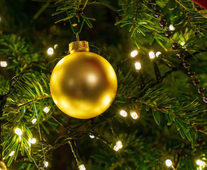 a christmas ornament hanging from a tree with lights