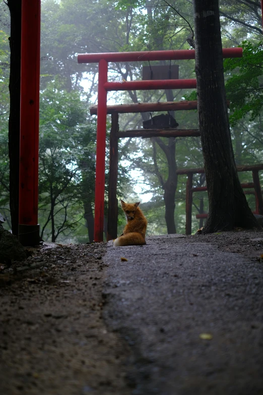 a cat sitting on the ground under a red structure