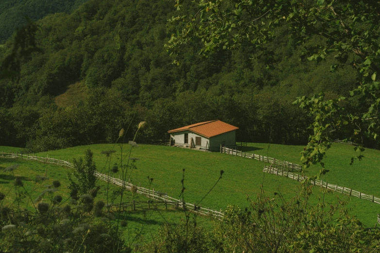 small cabin nestled in the middle of a grassy hill