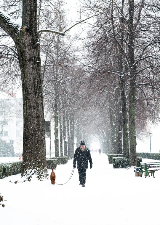 a woman in the snow walking a dog