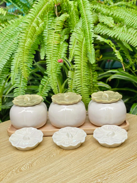 a grouping of three white vases with one green fern in the background