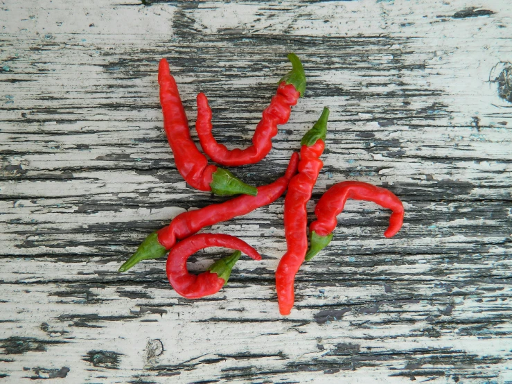 several peppers on top of the ground near each other
