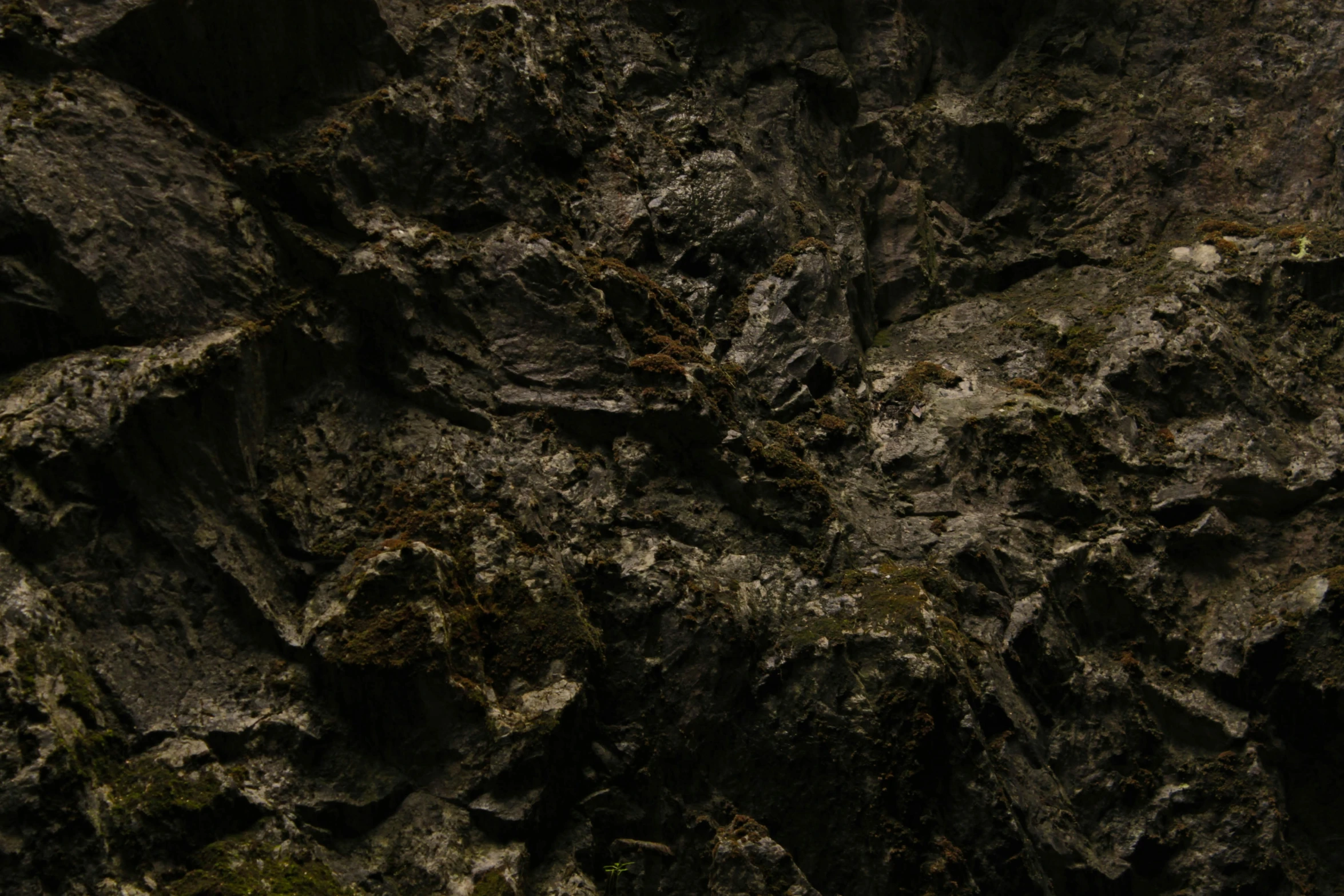 dark background texture with some vegetation and rocks