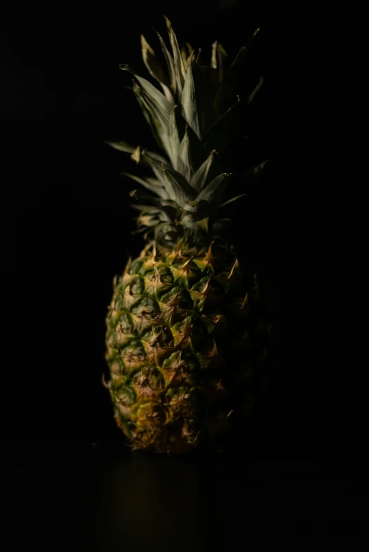 a black background with a pineapple and a single stem
