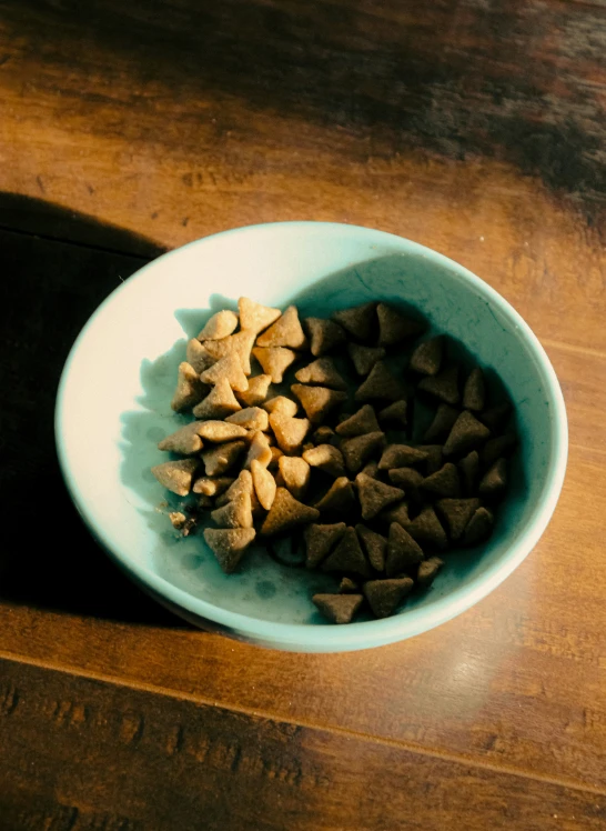 a cat laying next to a blue bowl full of cat food