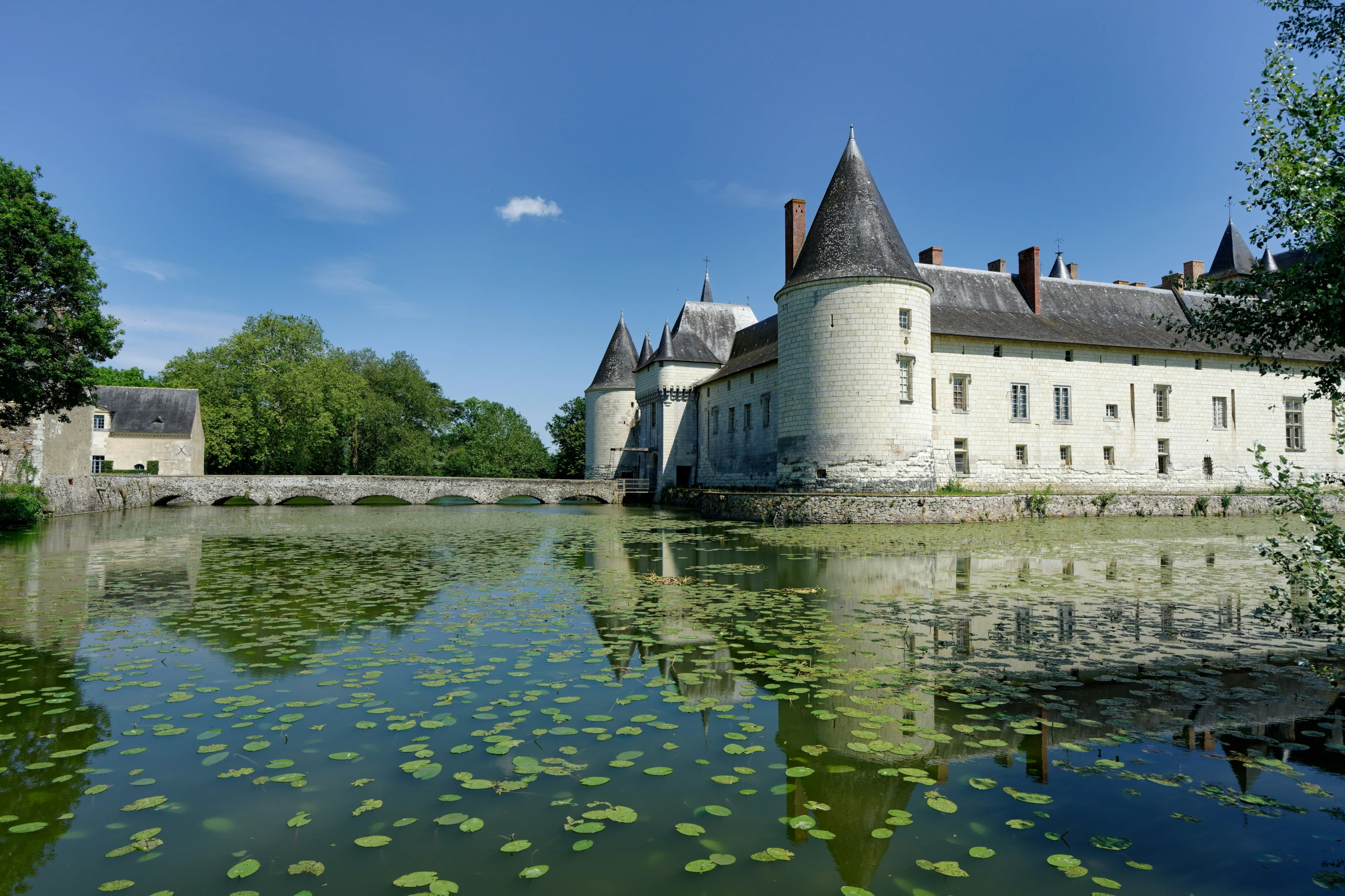 the water is full of water lilies