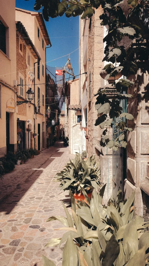 a narrow street in the town with shops