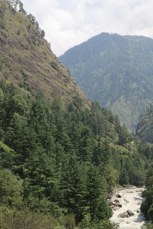 a river flows between several forested hills