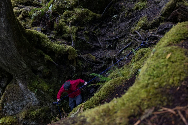 a man hiking through a dense, mossy forest