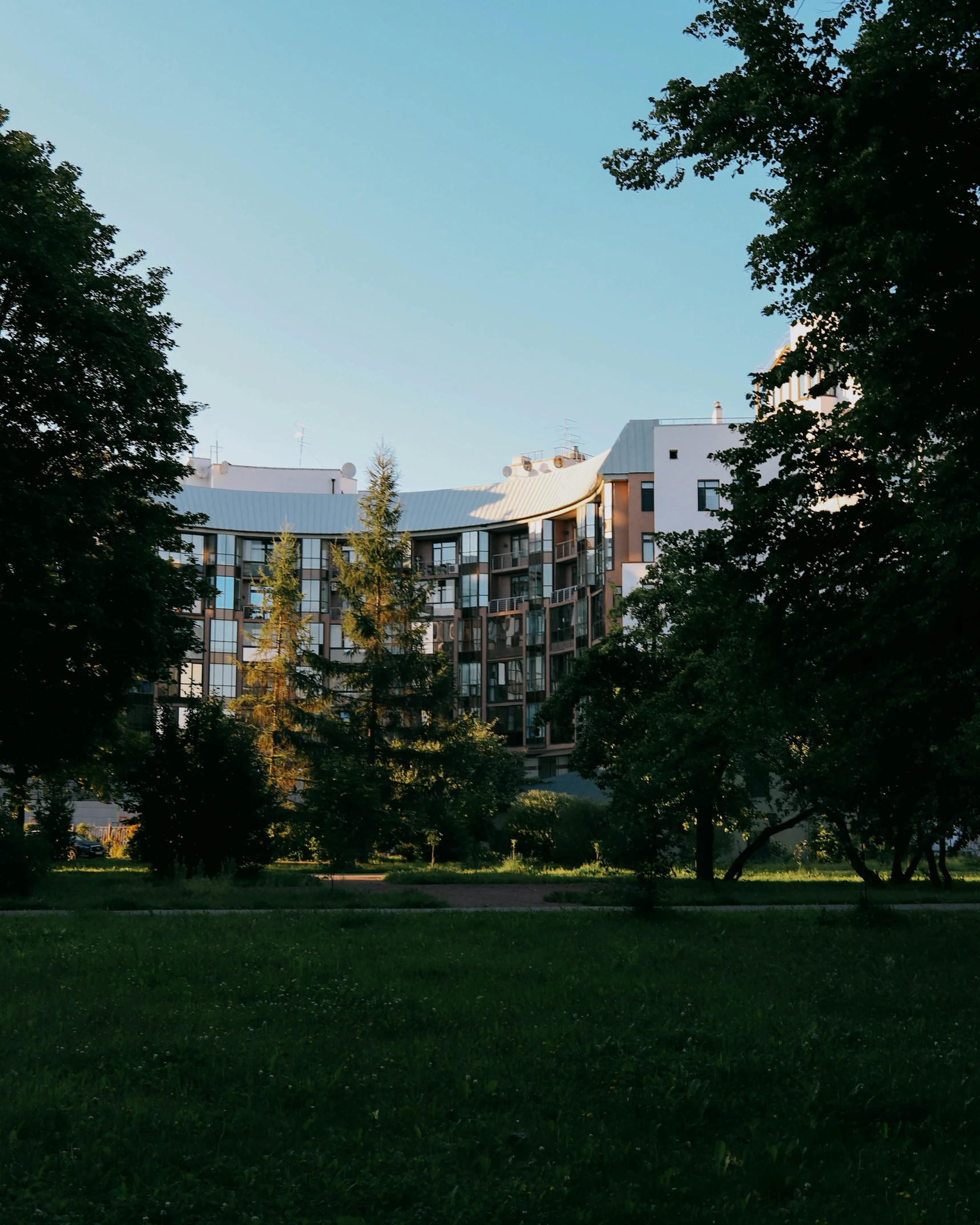 the view of trees from behind a building