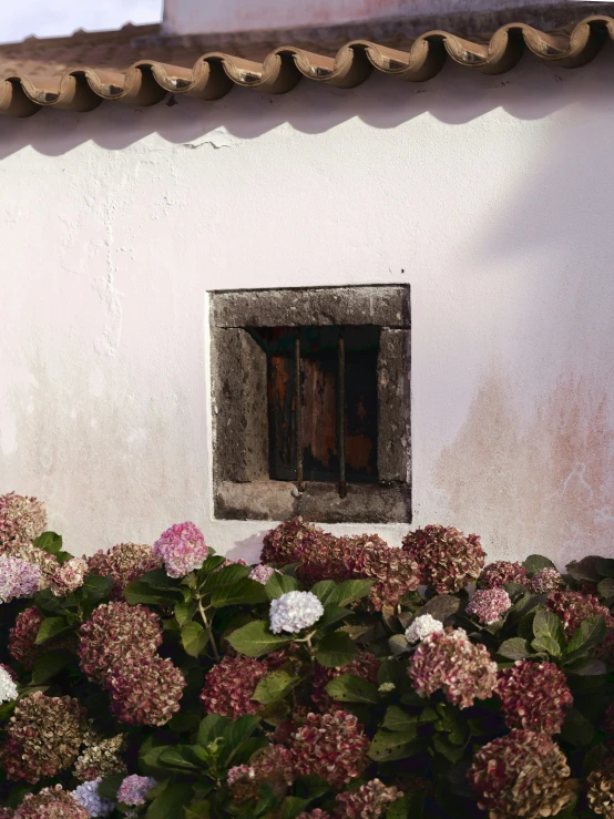 the window on the house is open with a view of the outside