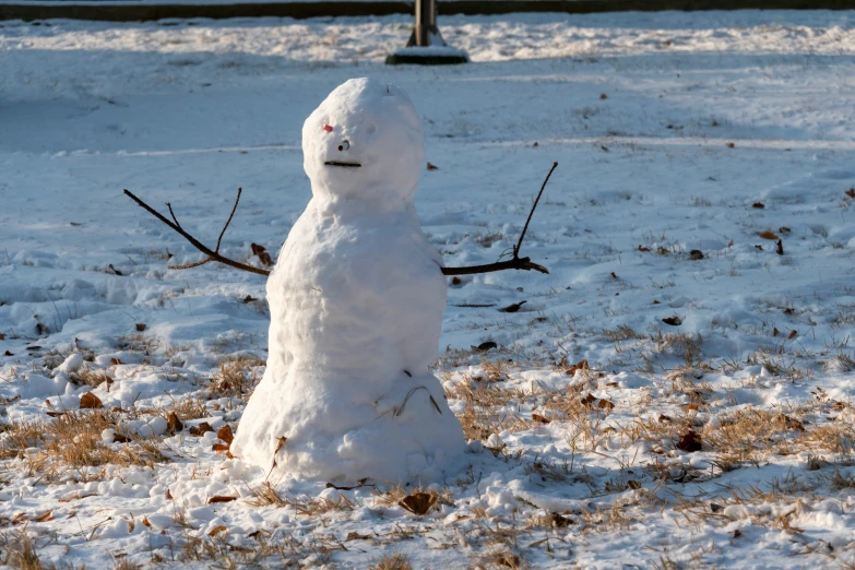 a snowman has fallen down and is in the middle of the yard