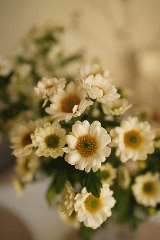 a vase filled with lots of white flowers