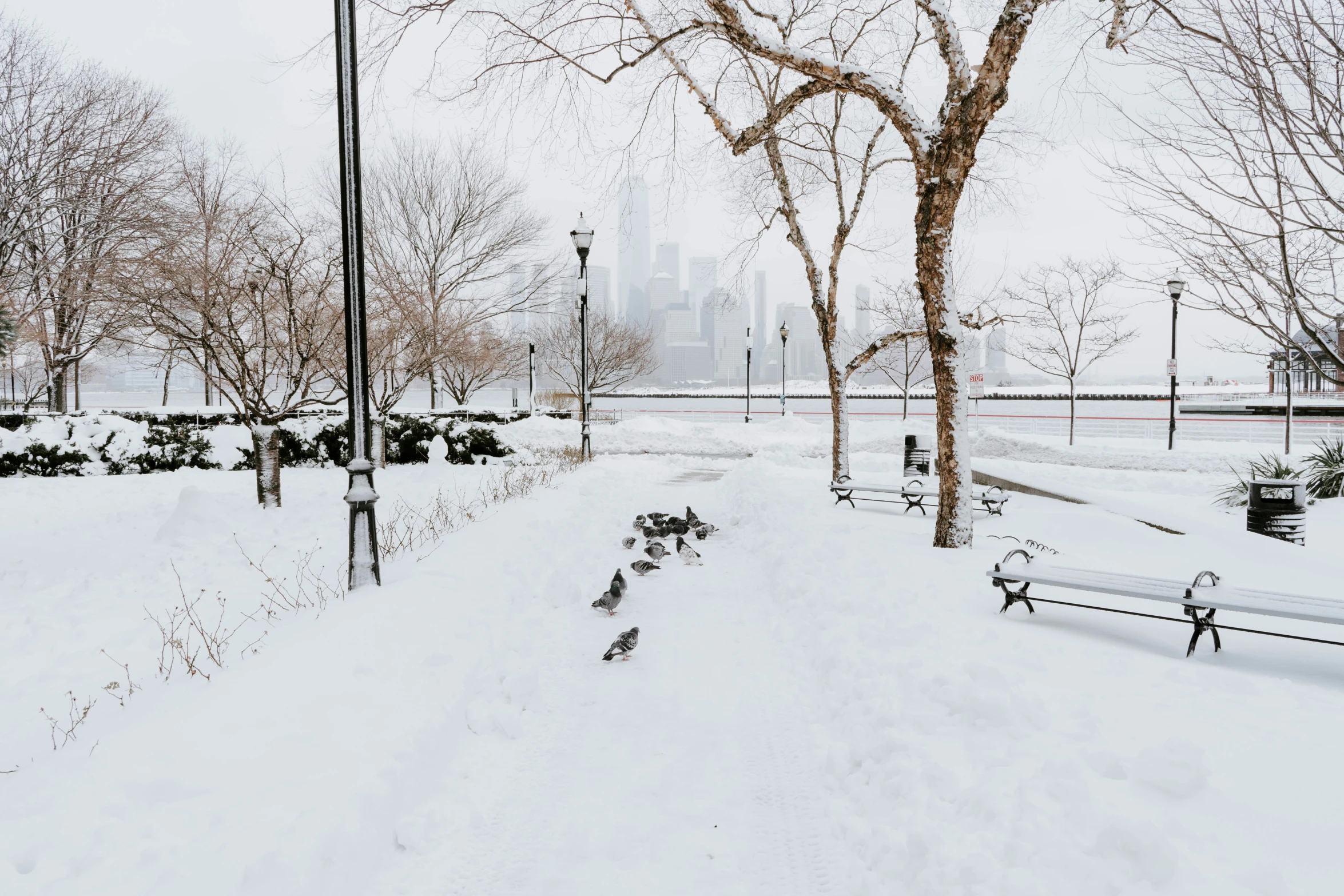 a snowy street with benches and trees in it