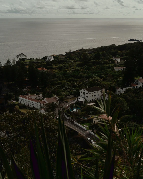 a scenic view of an island, the ocean and trees