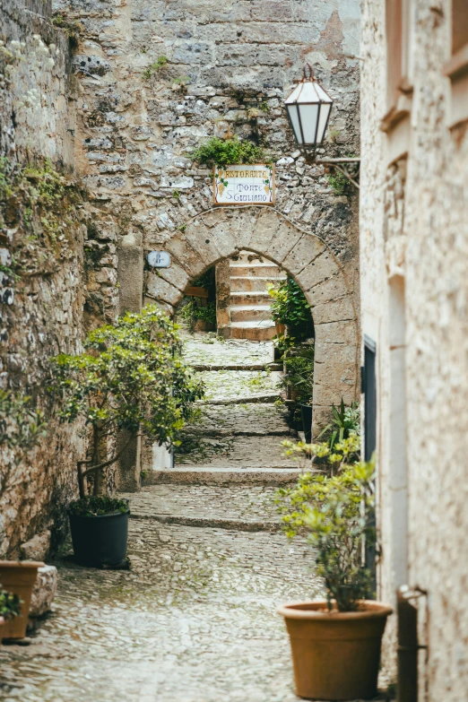 an alleyway with plants and stone walls
