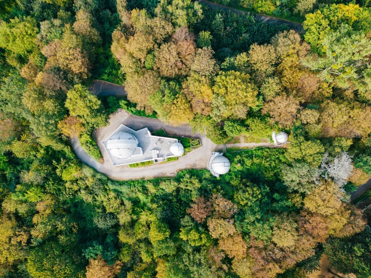 an aerial s shows the forest, road, and house