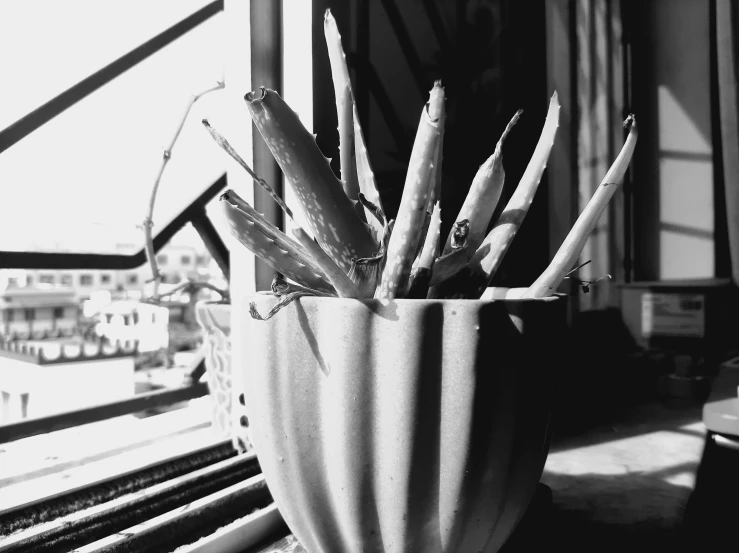 a plant is in a pot outside of a building