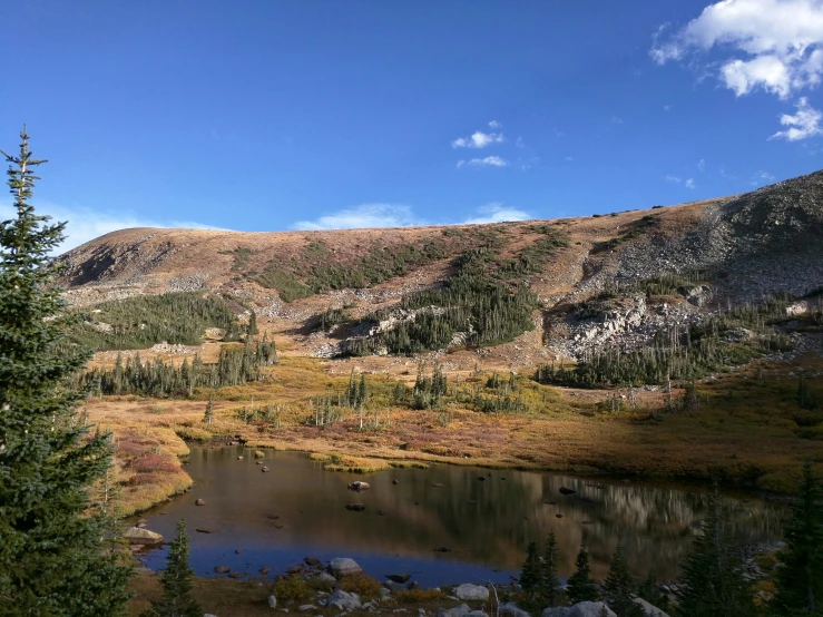 some trees and water near a rocky hill