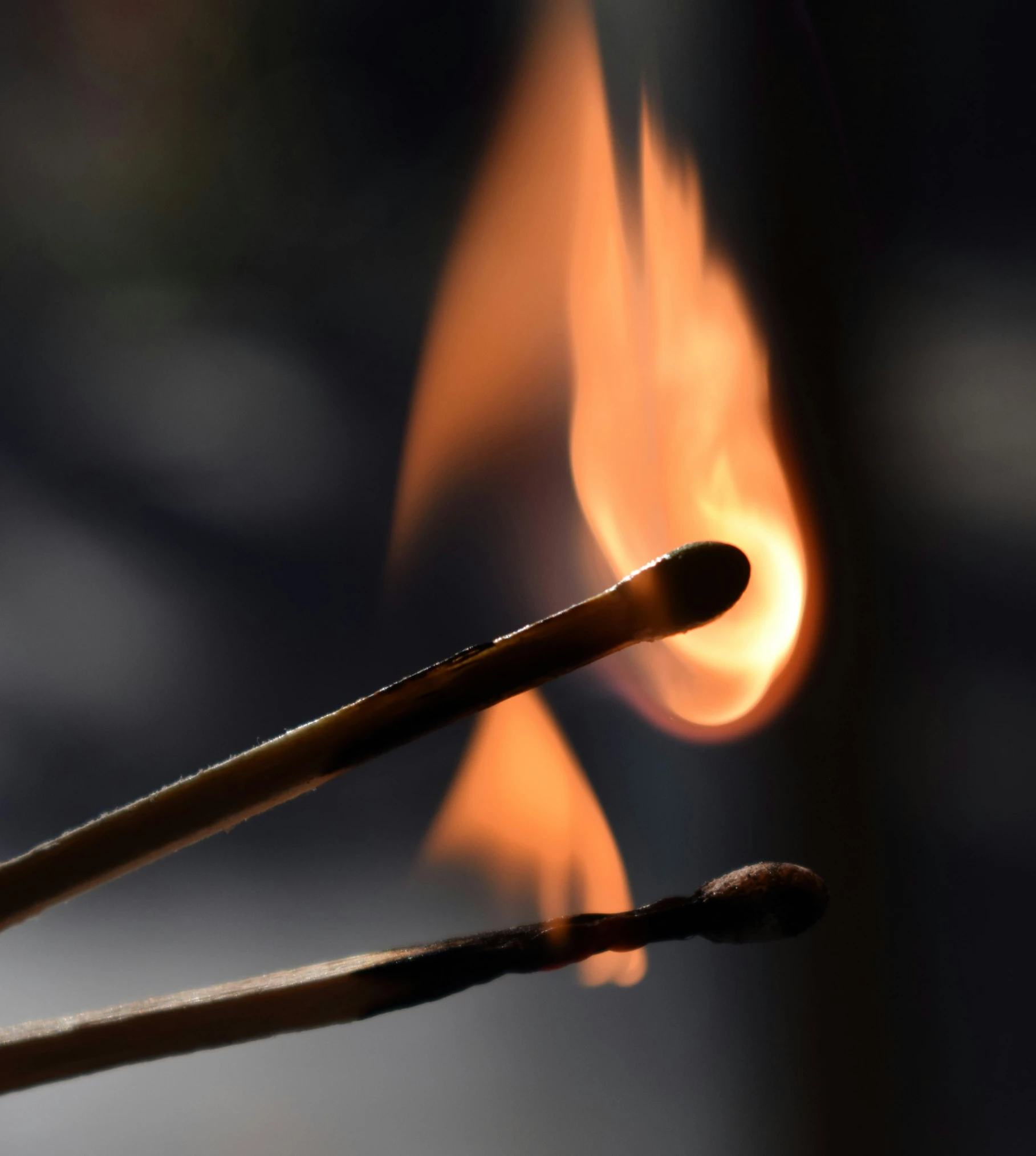 two sticks with fire burning on top of them