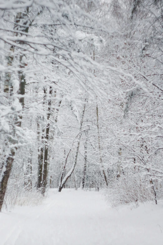 some people skiing down a path in the snow