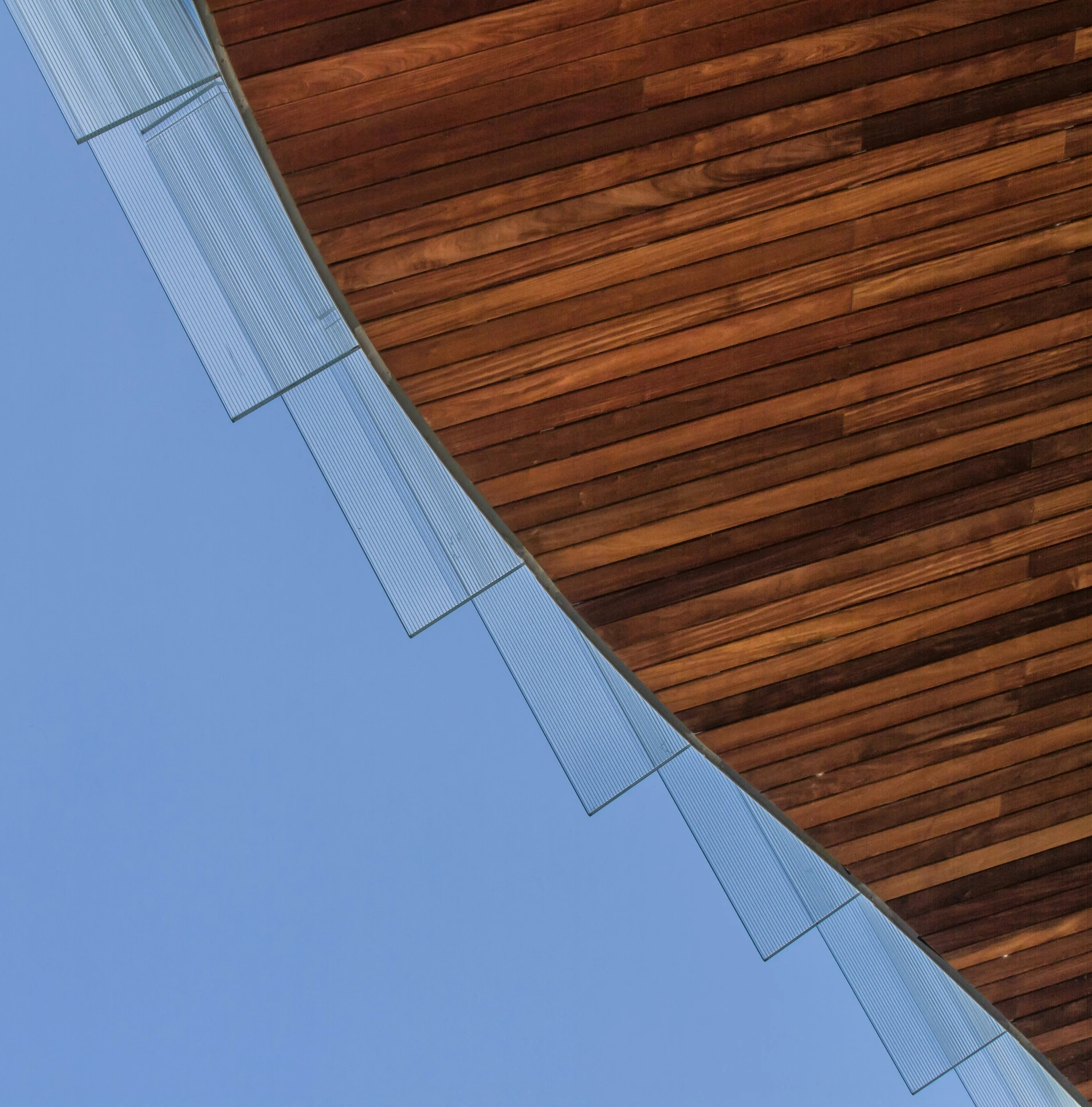 the underside of a building with a bird flying overhead