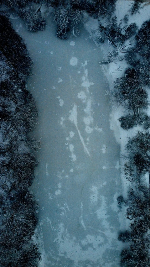 an image of a lake surrounded by trees