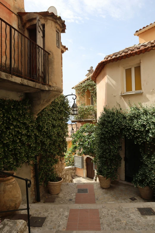 a stone pathway with potted trees in the middle