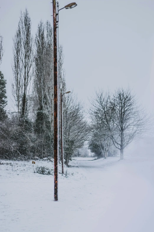 a pole with an electric light on it stands in the snow