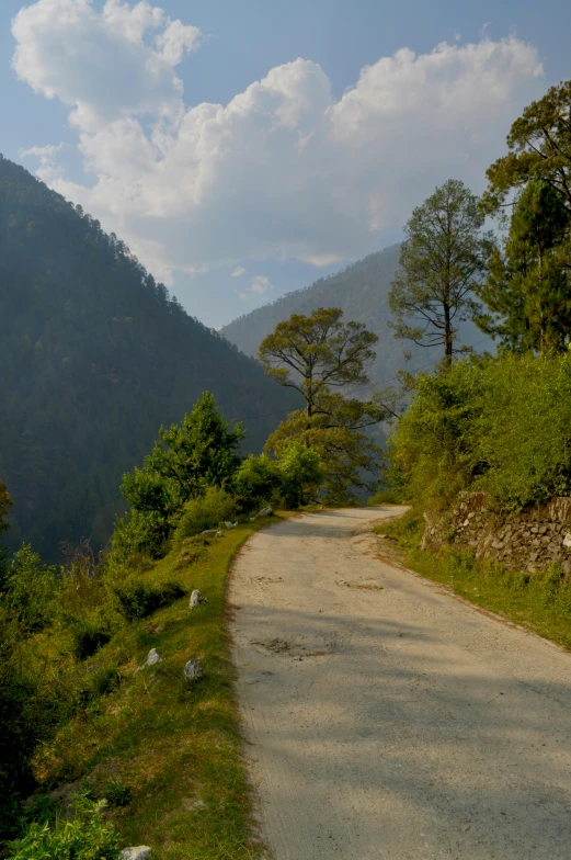 an empty road on a mountain in the sun